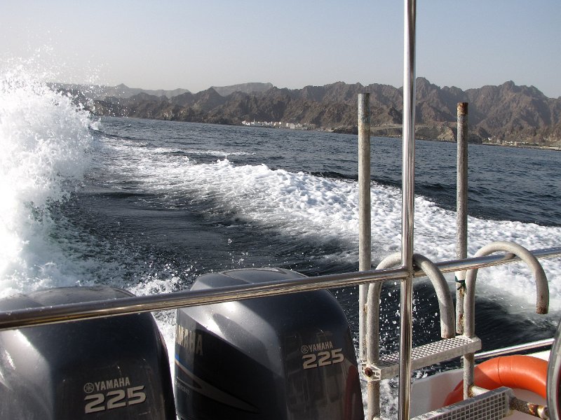 060211_power boat.JPG - Zondag 6 februari, met de powerboat op stap. Kijken bij de dolfijnen en daarna snorkelen in een baai.